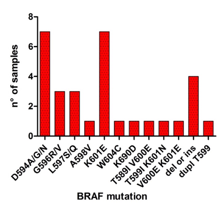 Study of the BRAF mutated oncogene for the selection of melanoma patients eligible for targeted therapies with specific oncogene inhibitors 